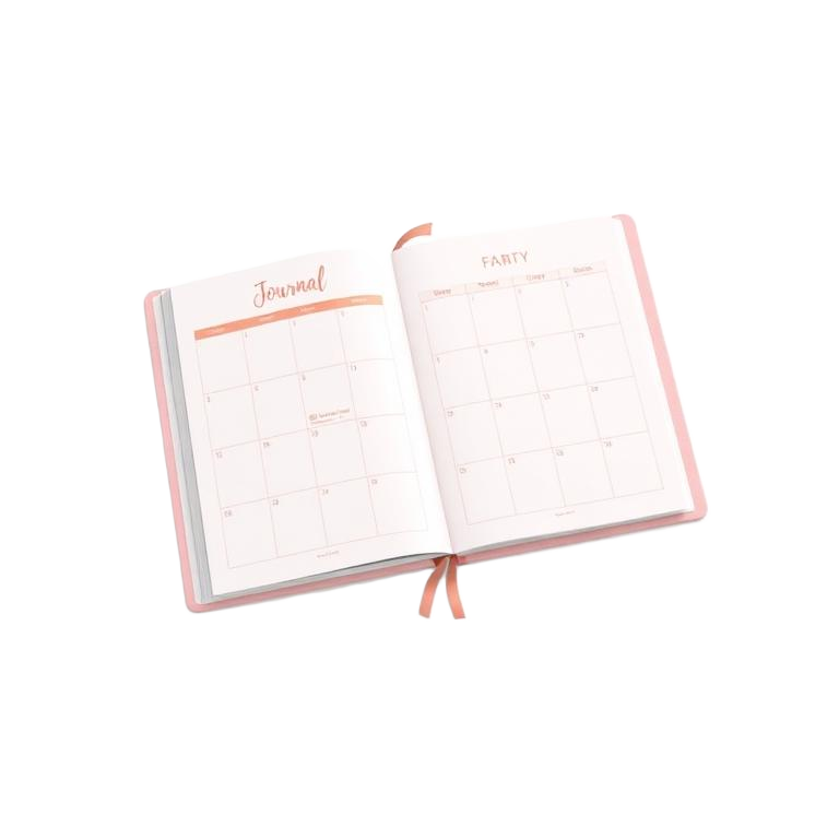 FaceCarve practitioner planner bonus